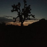 Review photo of Hidden Valley Campground — Joshua Tree National Park by Jill E., May 15, 2019