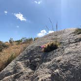 Review photo of Culp Valley Primitive Campground — Anza-Borrego Desert State Park by Jill E., May 15, 2019