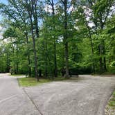 Review photo of Withrow Springs State Park Campground by 2SHOE S., May 15, 2019