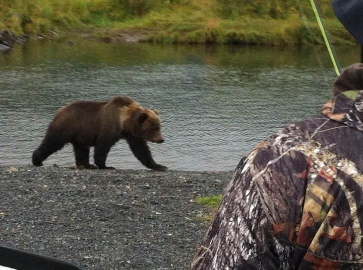 Camper submitted image from Buskin River State Rec Area - 2