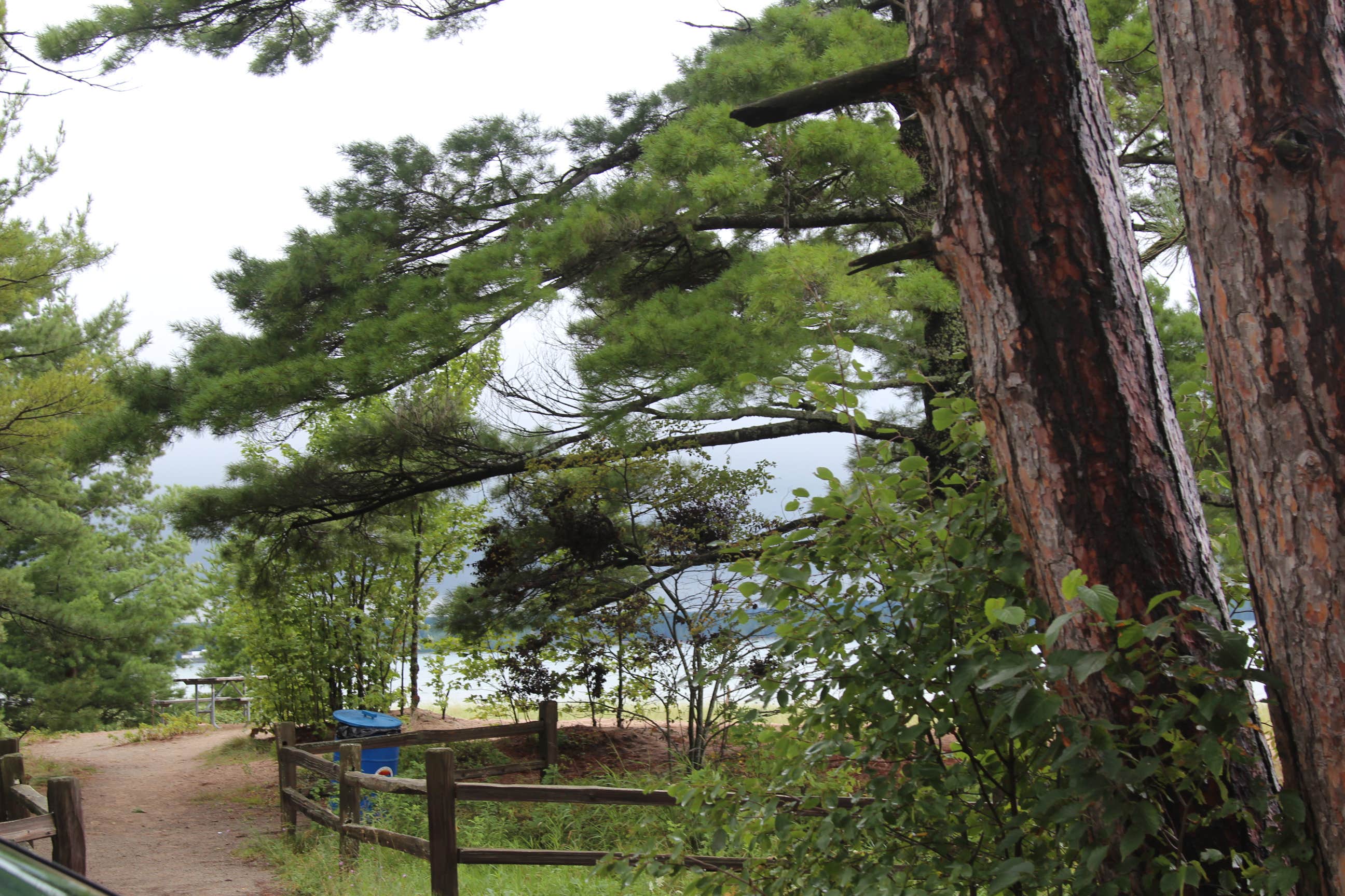 Camper submitted image from Munising Tourist Park Campground - 2