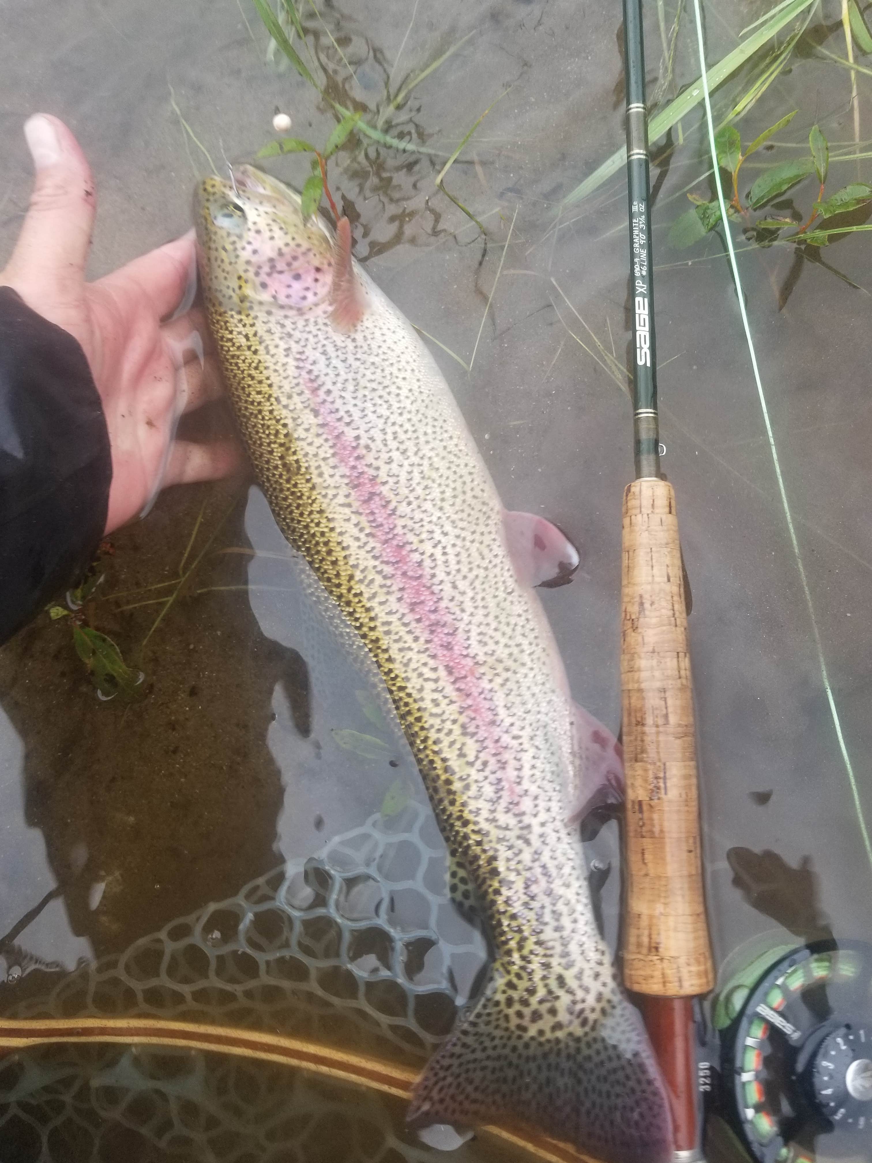 Camper submitted image from Montana Creek Campground - 2