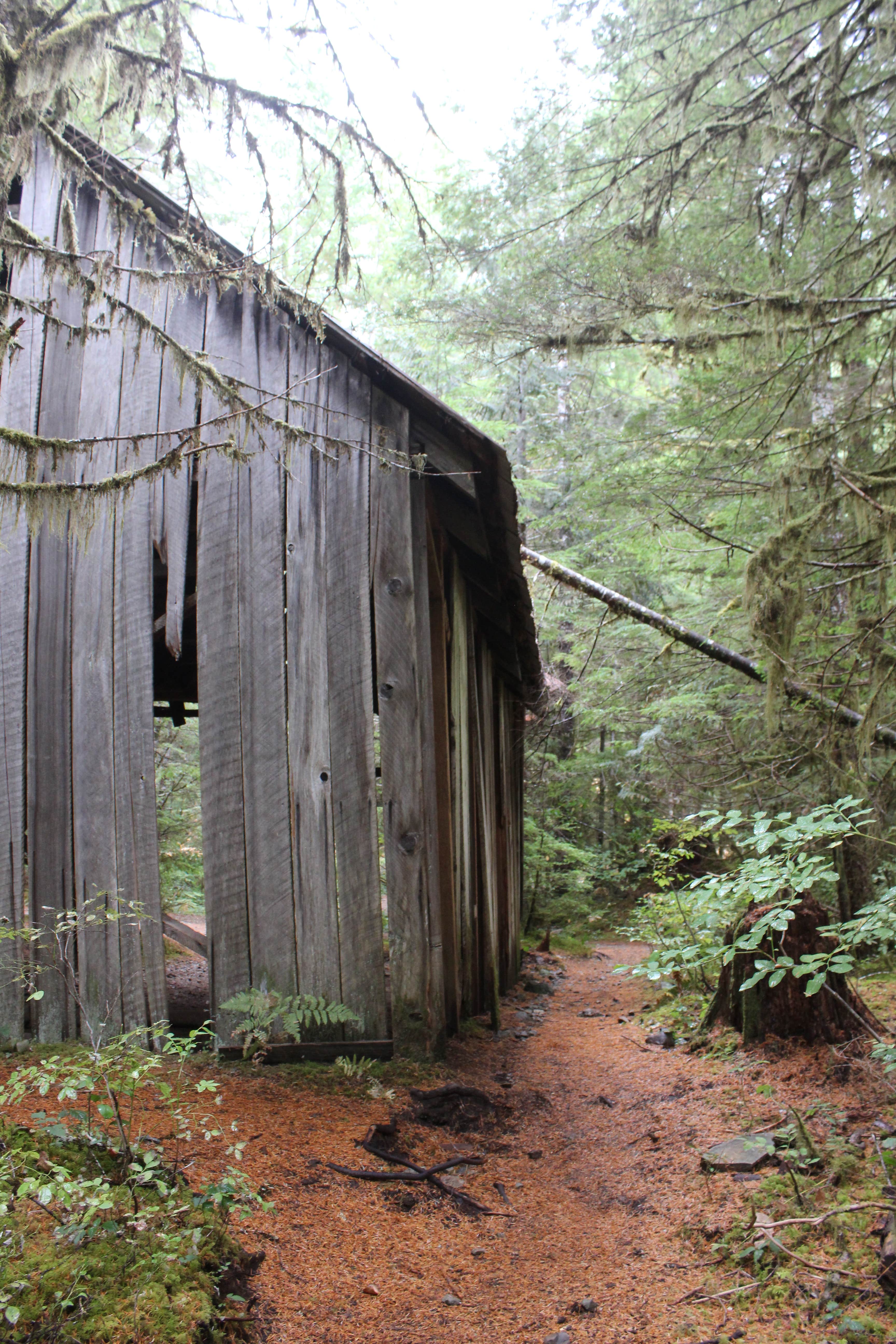 Camper submitted image from Opal Pool Campsites - 3