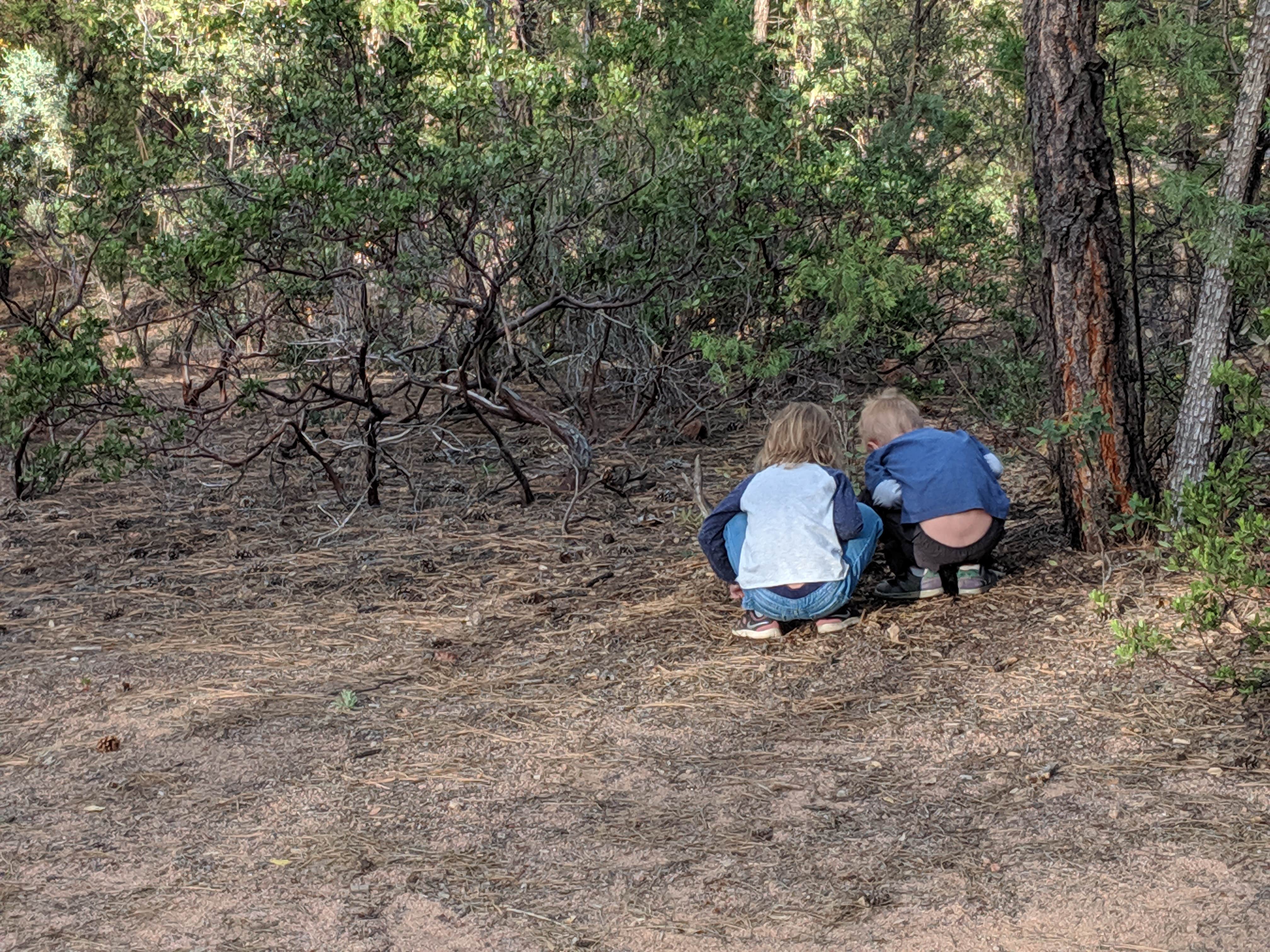 Ashley C.'s photo at Houston Mesa Campground near Payson, AZ