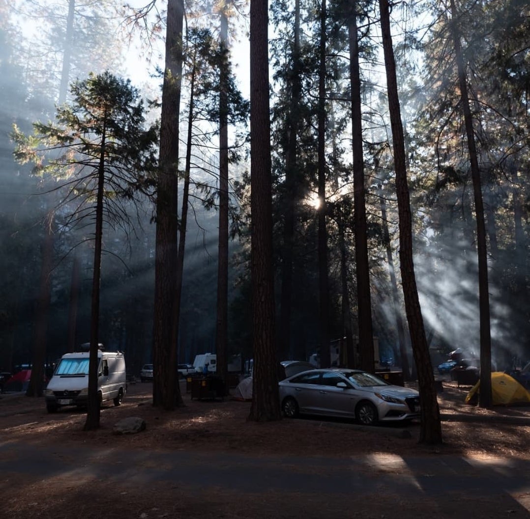 Camper submitted image from North Pines Campground — Yosemite National Park - 5