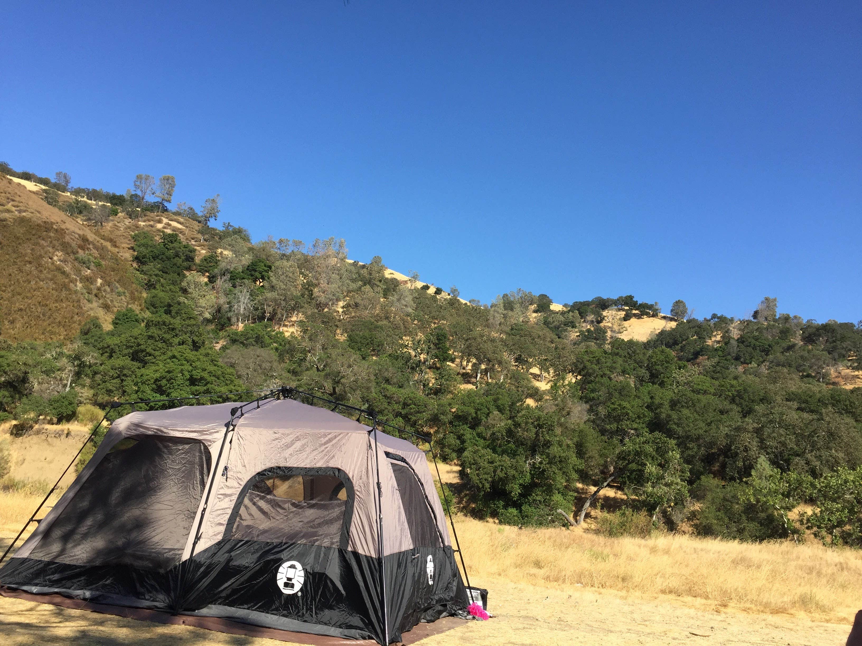 Jen U.'s photo at Del Valle Campground — East Bay Regional Park District near Byron, CA