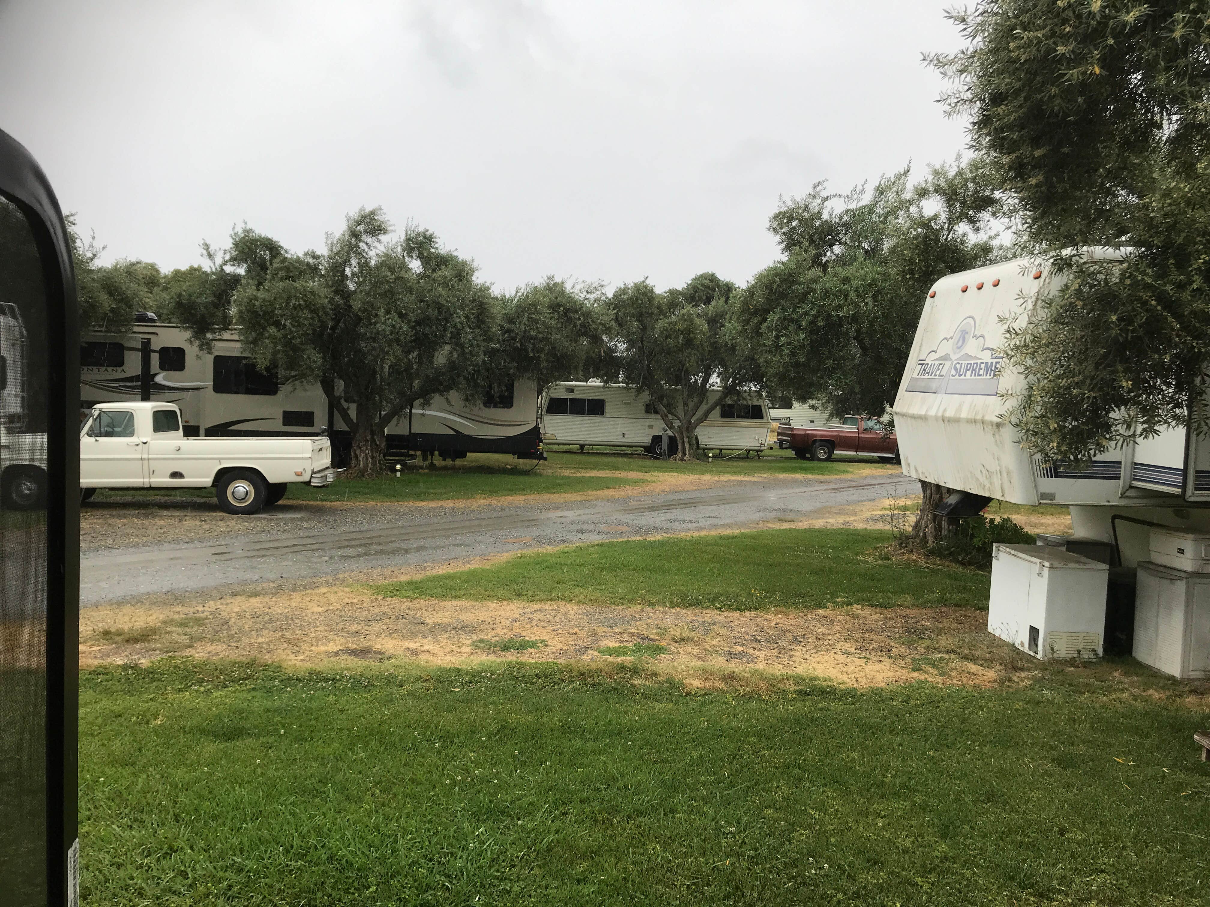 Camping near Sycamore Grove (red Bluff) Campground: Corning RV Park, Corning, California