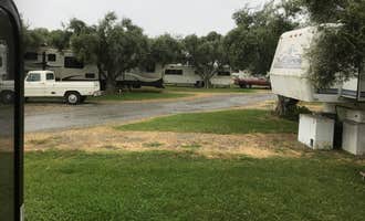 Camping near Sycamore Grove (red Bluff) Campground: Corning RV Park, Corning, California