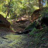 Review photo of Turkey Run State Park Campground — Turkey Run State Park by Georgeann D., May 16, 2019
