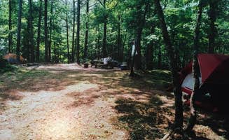 Anna R.'s photo at Carters Lake near Cherry Log, GA
