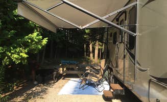 Georgeann D.'s photo of camping with pets at Wagon Trail Campground near Stephenson, MI