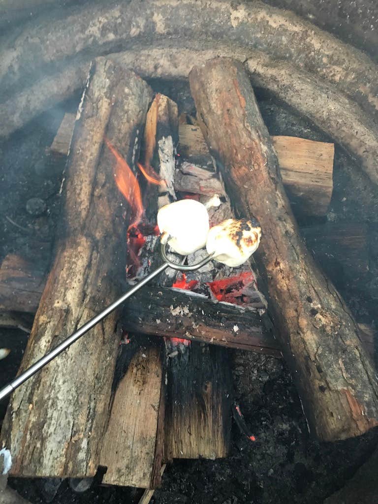 Camper-submitted photo at White River RV Park & Campground near Custer, MI