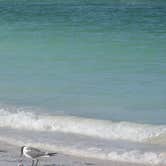 Review photo of Sea Camp Campground — Cumberland Island National Seashore by Jeanene A., August 29, 2016
