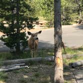 Review photo of Glacier View Campground by Mike W., May 16, 2019