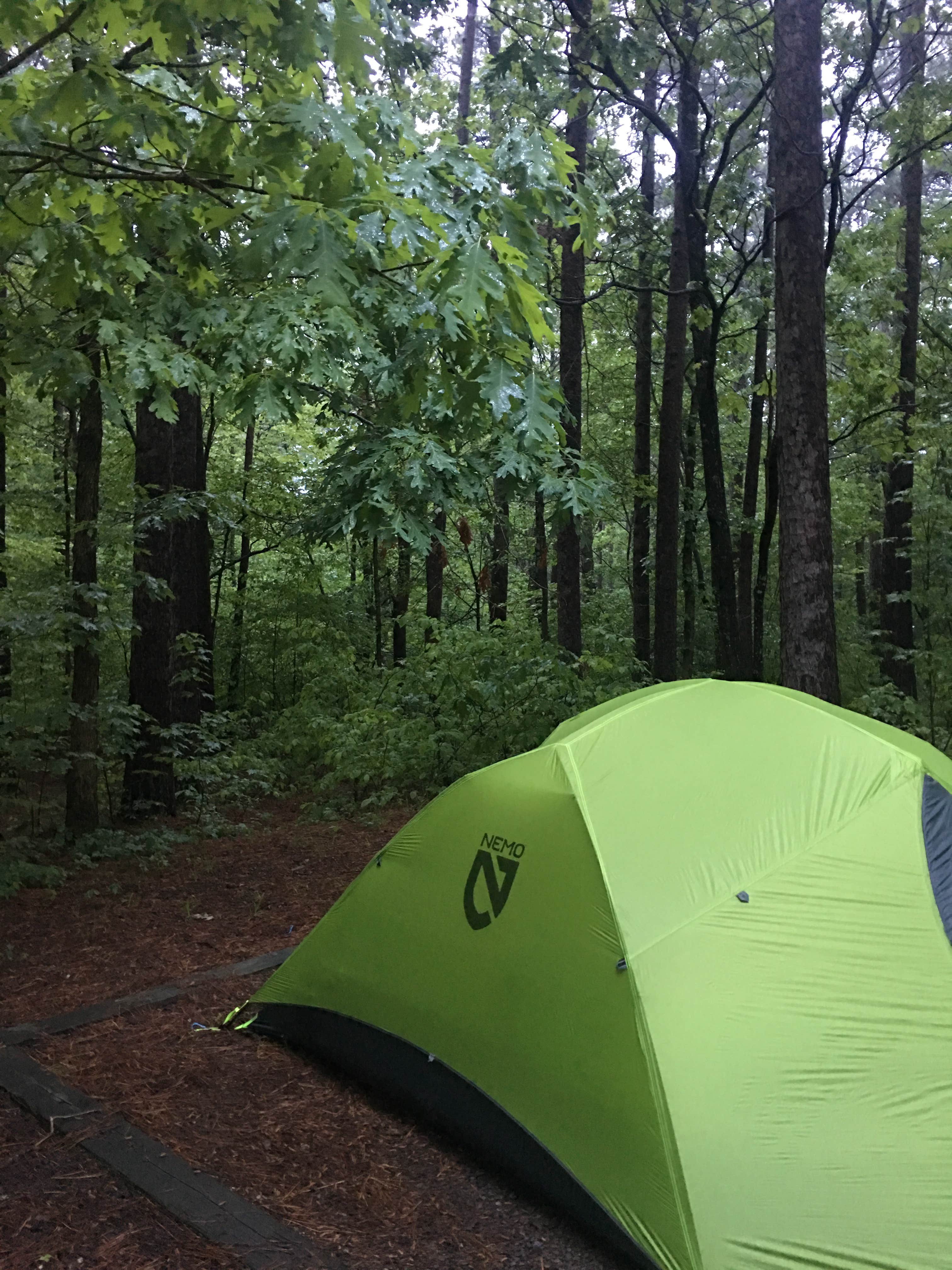 Lauren M.'s photo at Winding Stair Campground (Ok) — Ouachita National Forest near Hartford, AR