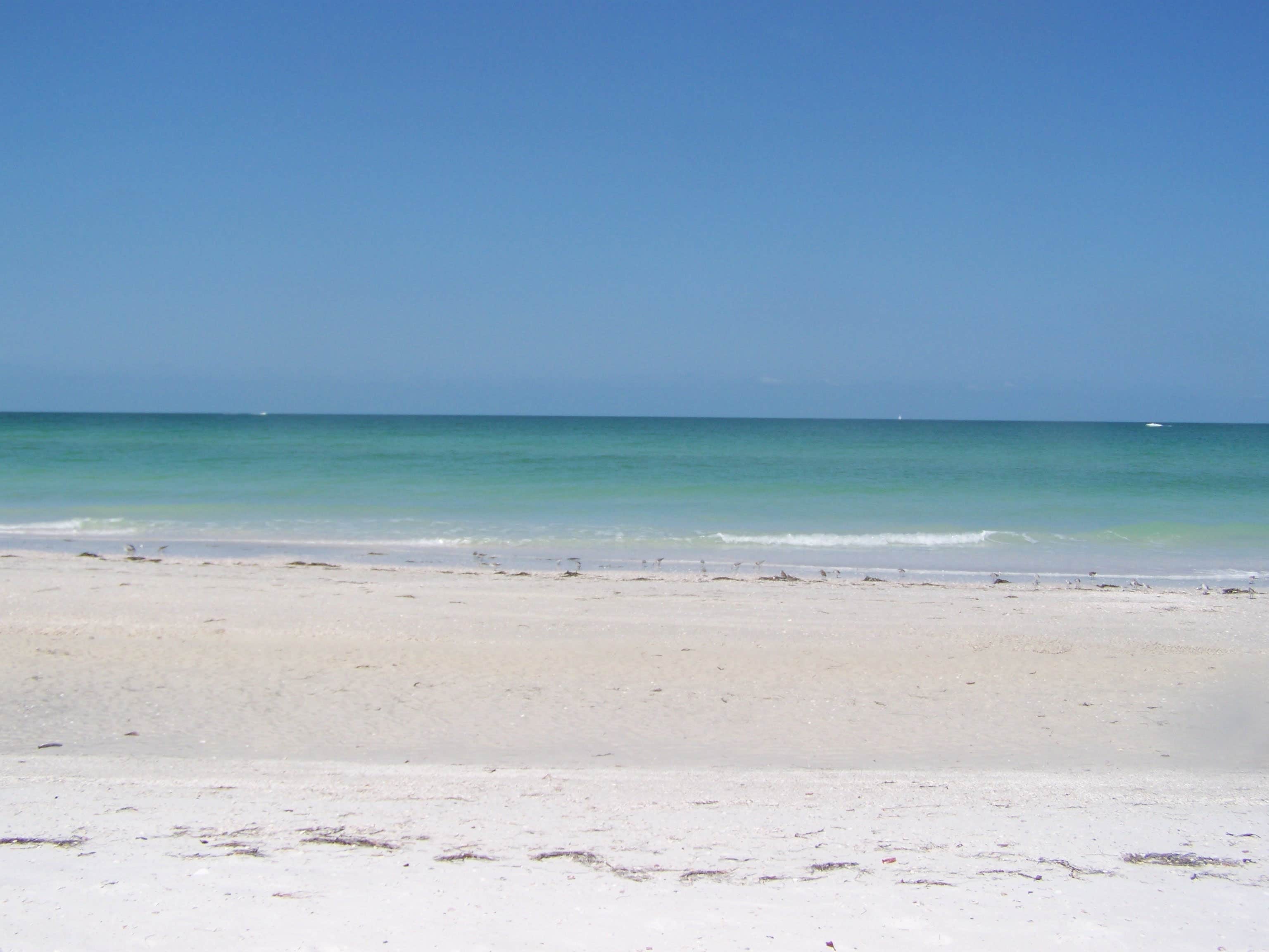 Camper submitted image from Sea Camp Campground — Cumberland Island National Seashore - 2