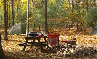 Camping near Wolfs Camping Resort: Rustic Acres RV Resort & Campground, Shippenville, Pennsylvania