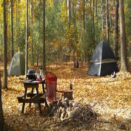 Campground Finder: Rustic Acres RV Resort & Campground