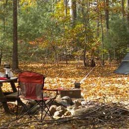Campground Finder: Rustic Acres RV Resort & Campground