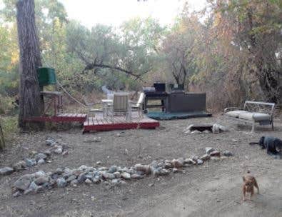 Camper submitted image from The Wilton on the Russian River - 5