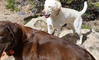 Brad B.'s photo of camping with pets at Fruita Campground — Capitol Reef National Park near Capitol Reef National Park