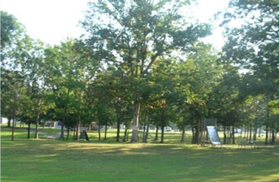 Camper-submitted photo at Take It Easy Campground near Dowell, MD