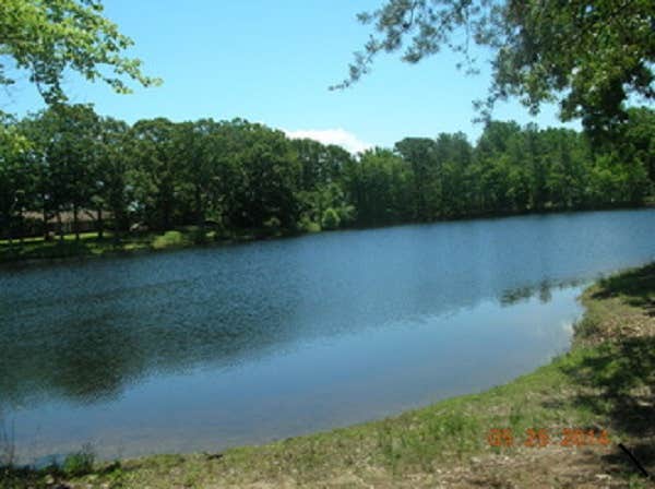Camper-submitted photo at Take It Easy Campground near Dowell, MD