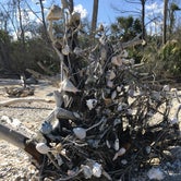 Review photo of Edisto Beach State Park Campground by Erica , May 16, 2019