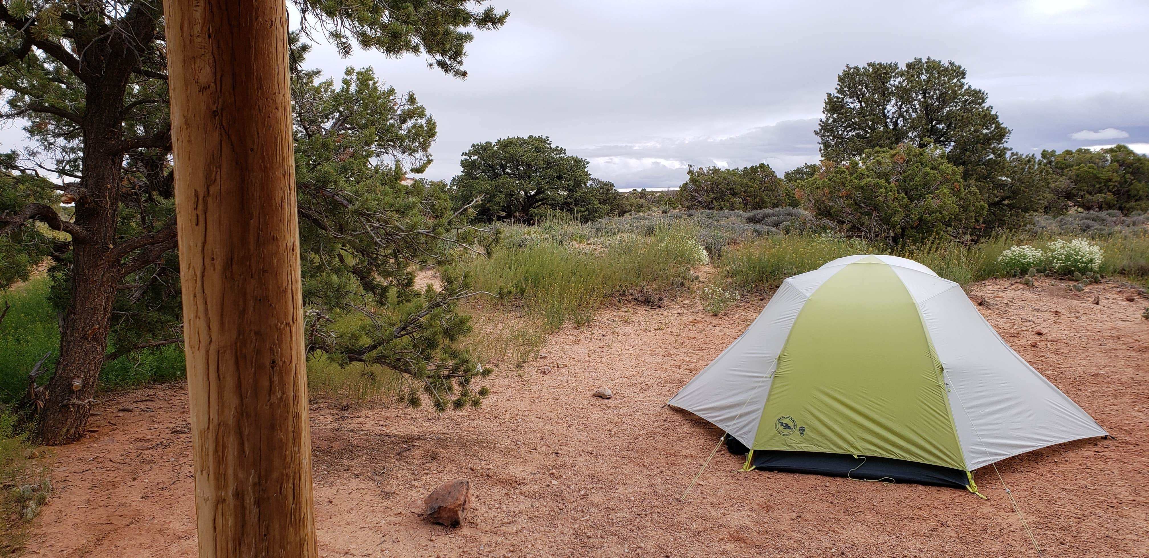 Thomas B.'s photo at Island In The Sky (Willow Flat) Campground — Canyonlands National Park near Canyonlands National Park