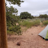Review photo of Island In The Sky (Willow Flat) Campground — Canyonlands National Park by Thomas B., May 16, 2019
