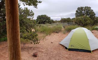 Thomas B.'s photo at Island In The Sky (Willow Flat) Campground — Canyonlands National Park near Canyonlands National Park