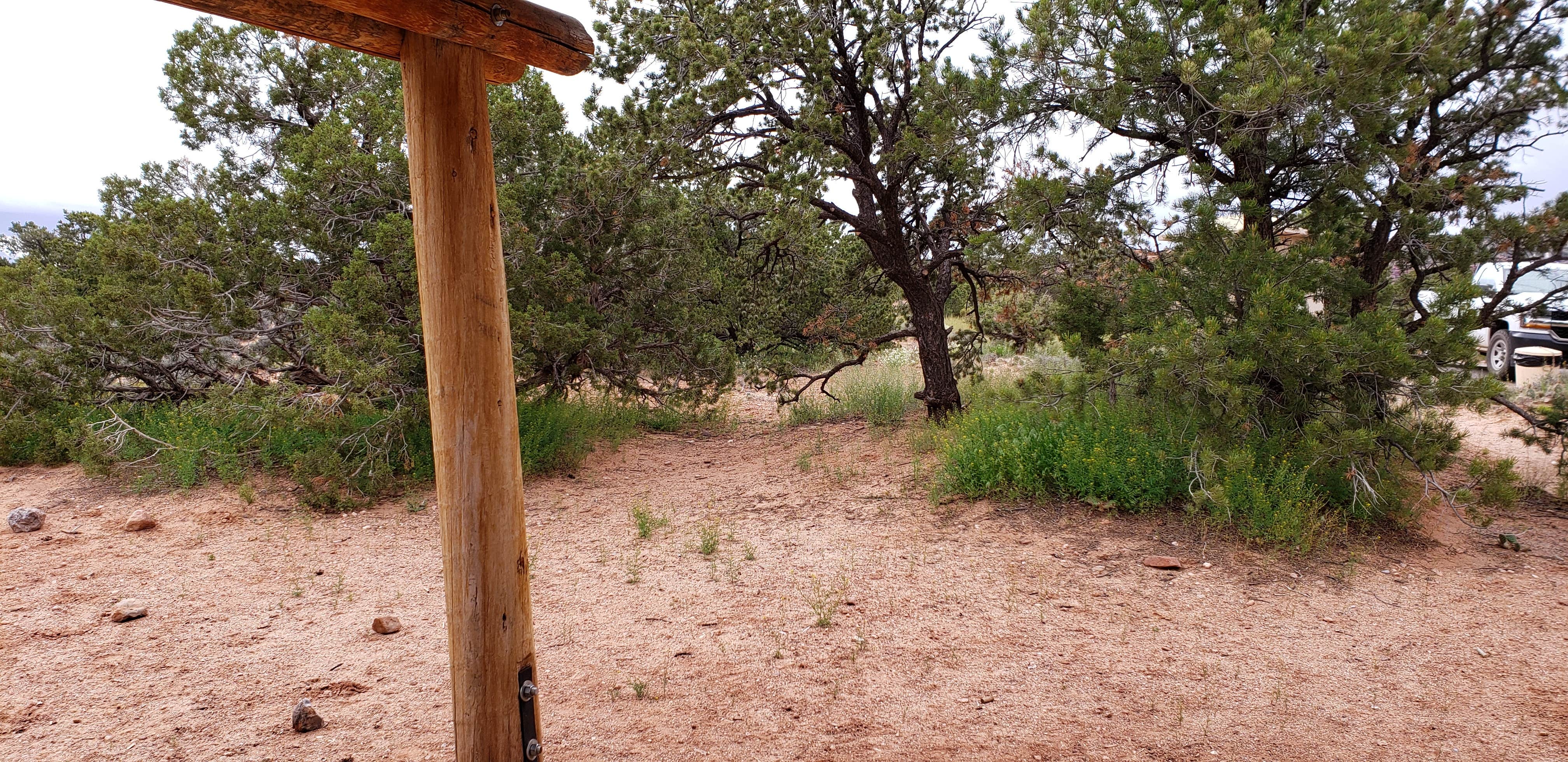 Camper submitted image from Island In The Sky (Willow Flat) Campground — Canyonlands National Park - 5