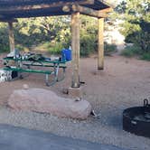 Review photo of Island In The Sky (Willow Flat) Campground — Canyonlands National Park by Thomas B., May 16, 2019