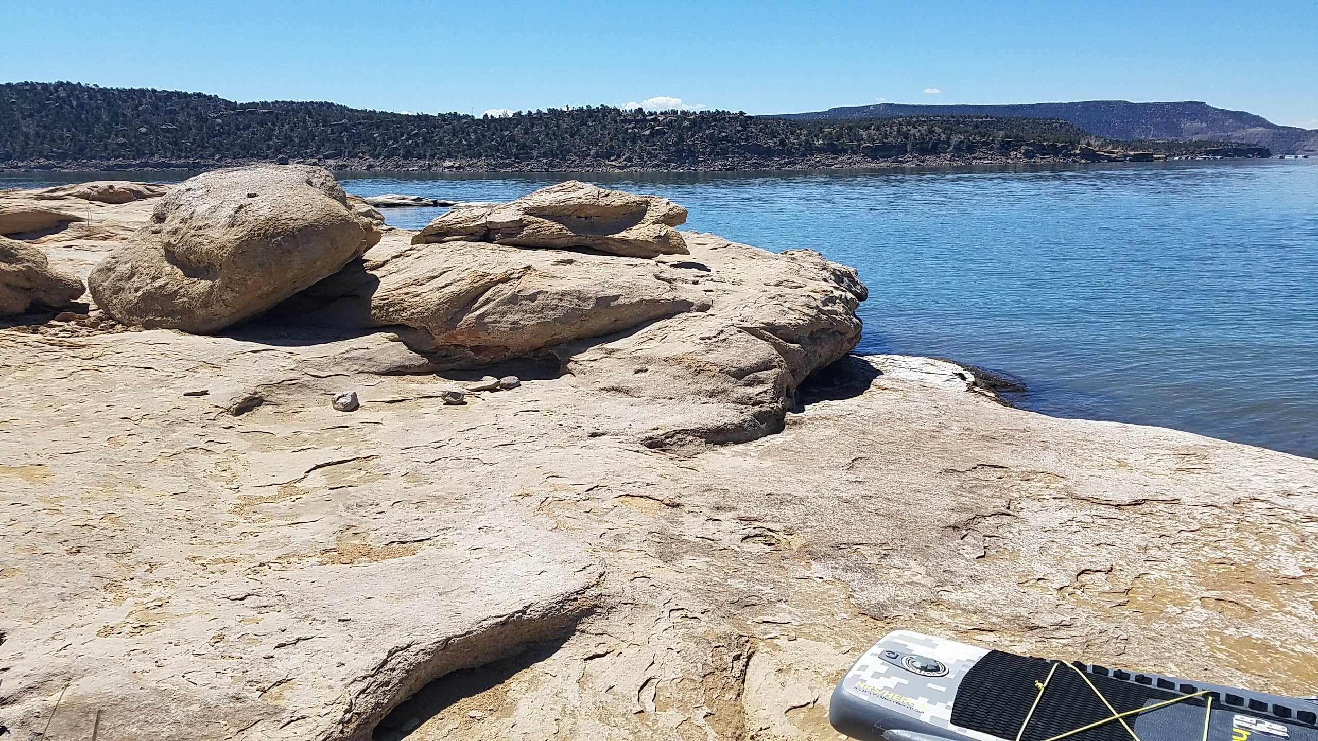 Camper submitted image from Rosa Campground — Navajo State Park - 4