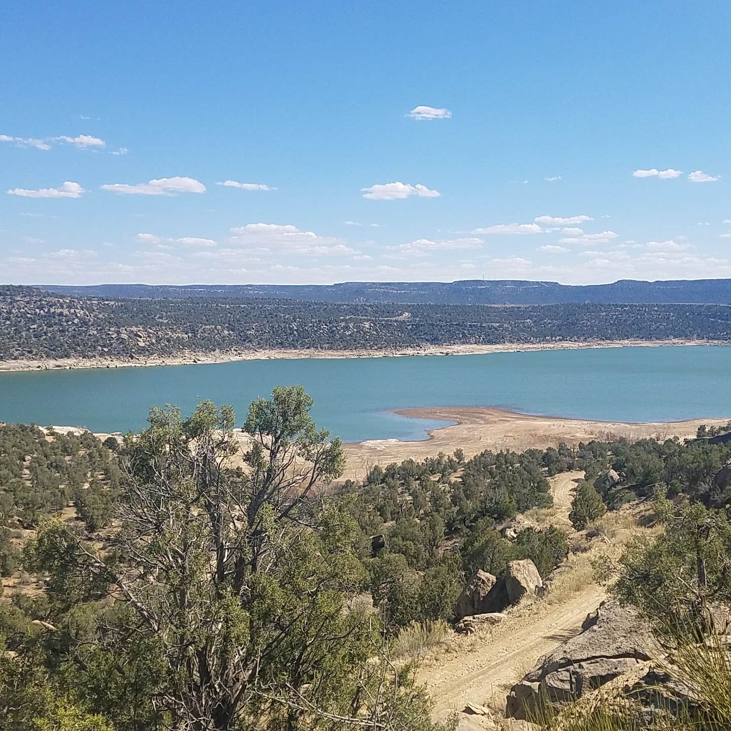 Navajo State Park Camping | The Dyrt