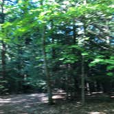Review photo of Gunstock Campground by Brad F., May 16, 2019