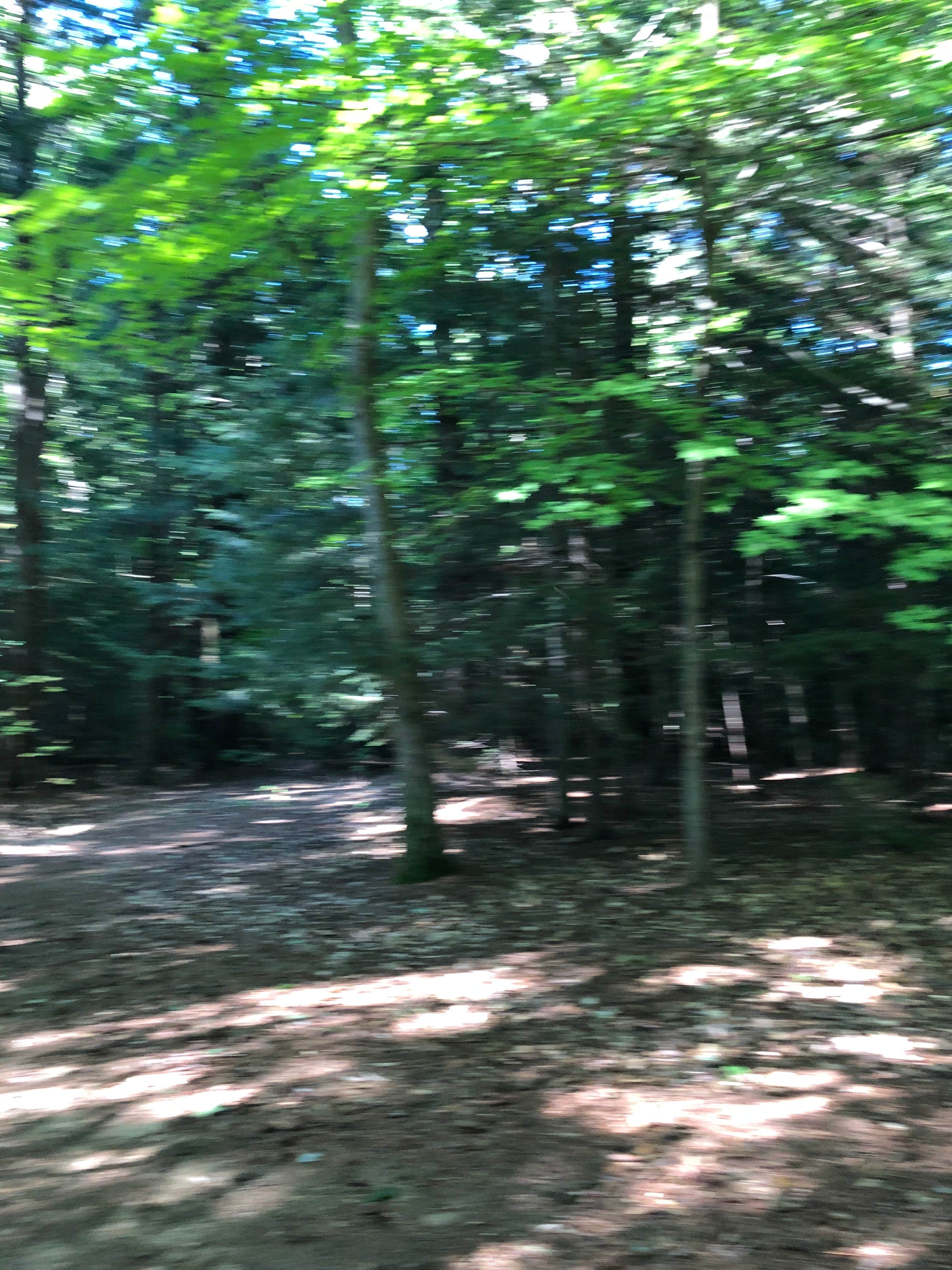 Gunstock Campground Gilford, NH