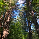 Review photo of Gunstock Campground by Brad F., May 16, 2019