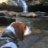 Review photo of Hocking Hills Camping by Grace D., May 16, 2019