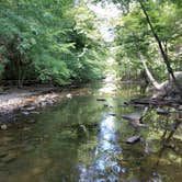 Review photo of Standing Stone State Park Campground by Patricia M., May 16, 2019