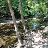 Review photo of Standing Stone State Park Campground by Patricia M., May 16, 2019