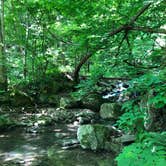 Review photo of Stone Cliff Campground — New River Gorge National Park and Preserve by Gracey L., May 16, 2019