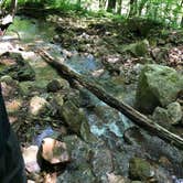 Review photo of Stone Cliff Campground — New River Gorge National Park and Preserve by Gracey L., May 16, 2019