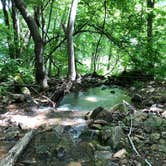 Review photo of Stone Cliff Campground — New River Gorge National Park and Preserve by Gracey L., May 16, 2019