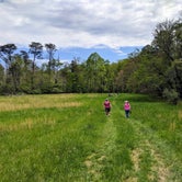Review photo of Fall Creek Falls State Park Campground by Chris H., May 16, 2019