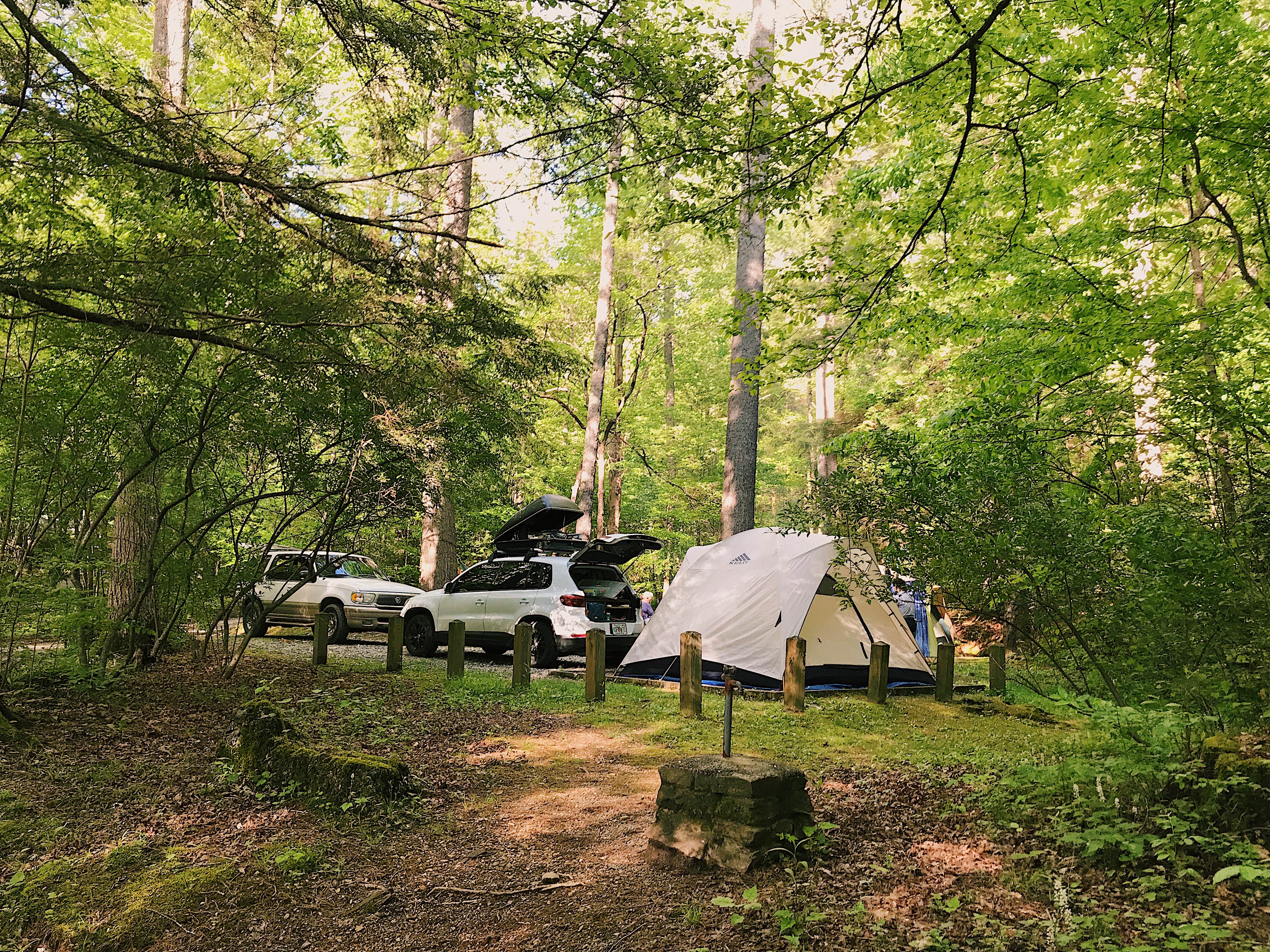 Camper submitted image from Cooper Creek - 3