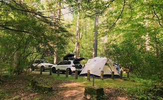 Laura D.'s photo at Cooper Creek near Blairsville, GA