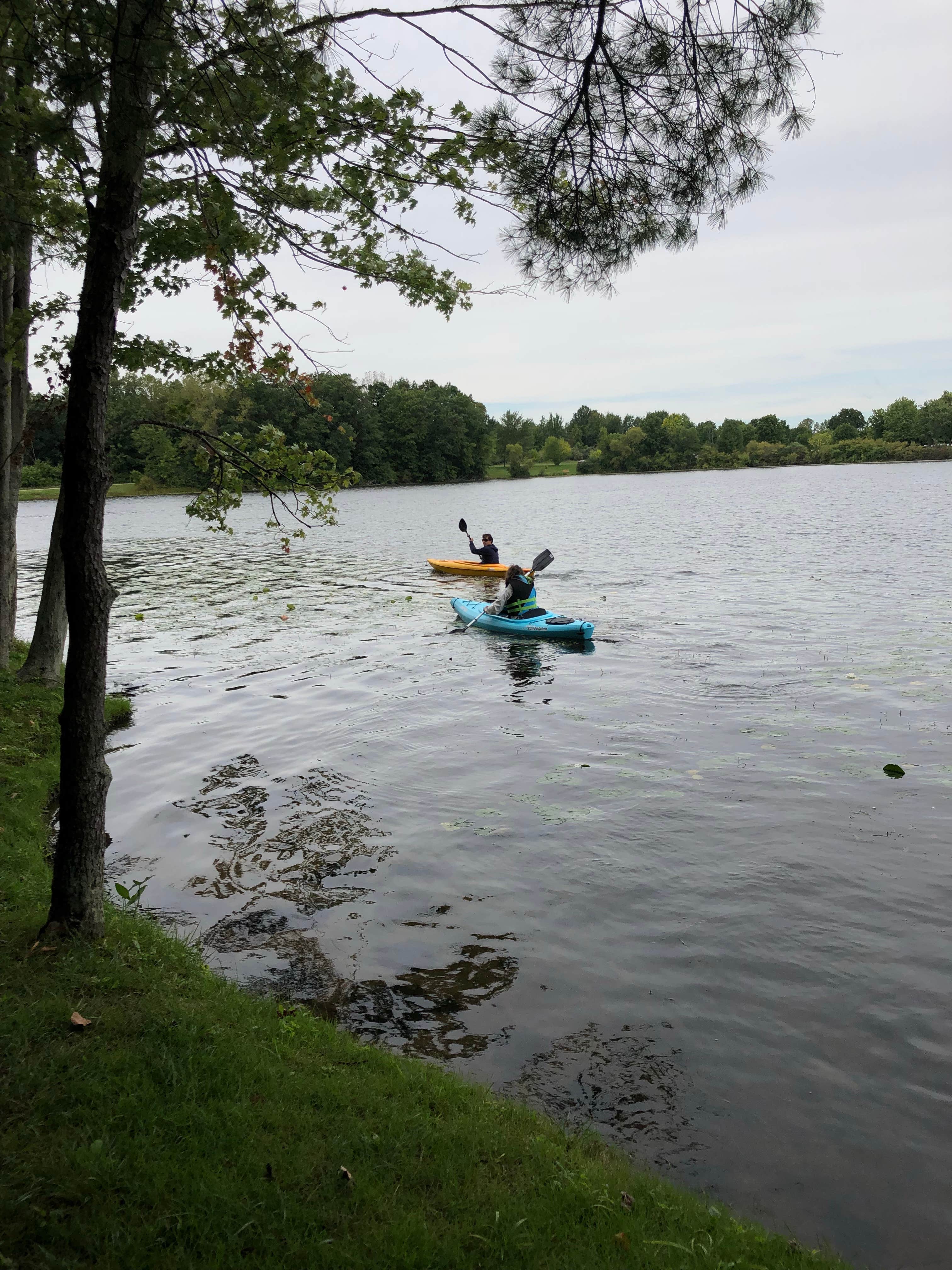 Camper submitted image from Seven Lakes State Park Campground - 5