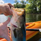 Review photo of Seven Lakes State Park Campground by Kelsey P., May 16, 2019