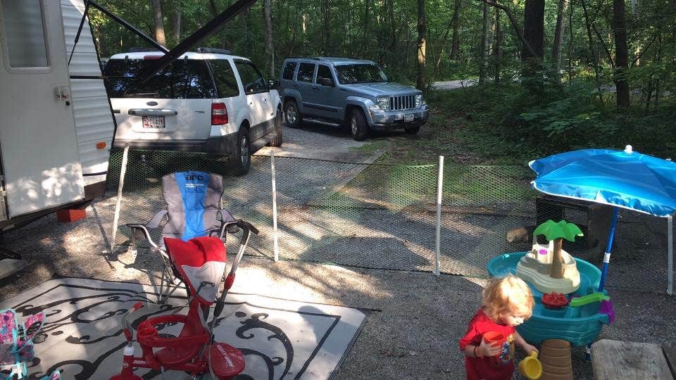 Camper submitted image from Hollofield Area Campground - 3